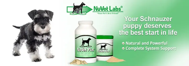 nuvet-labs-pet-supplements-header-schnauzer