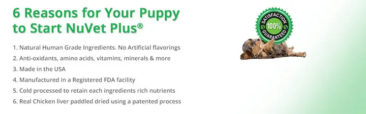 nuvet-plus-pet-supplements-6-reasons2