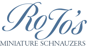 RoJo's Miniature Schnauzers Logo