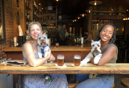 RoJo Miniature Schnauzers