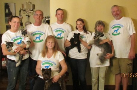 RoJo Miniature Schnauzers